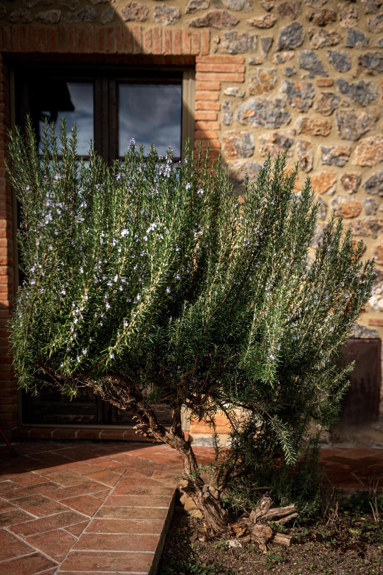Tenuta Aronne Масса-Мариттима Экстерьер фото