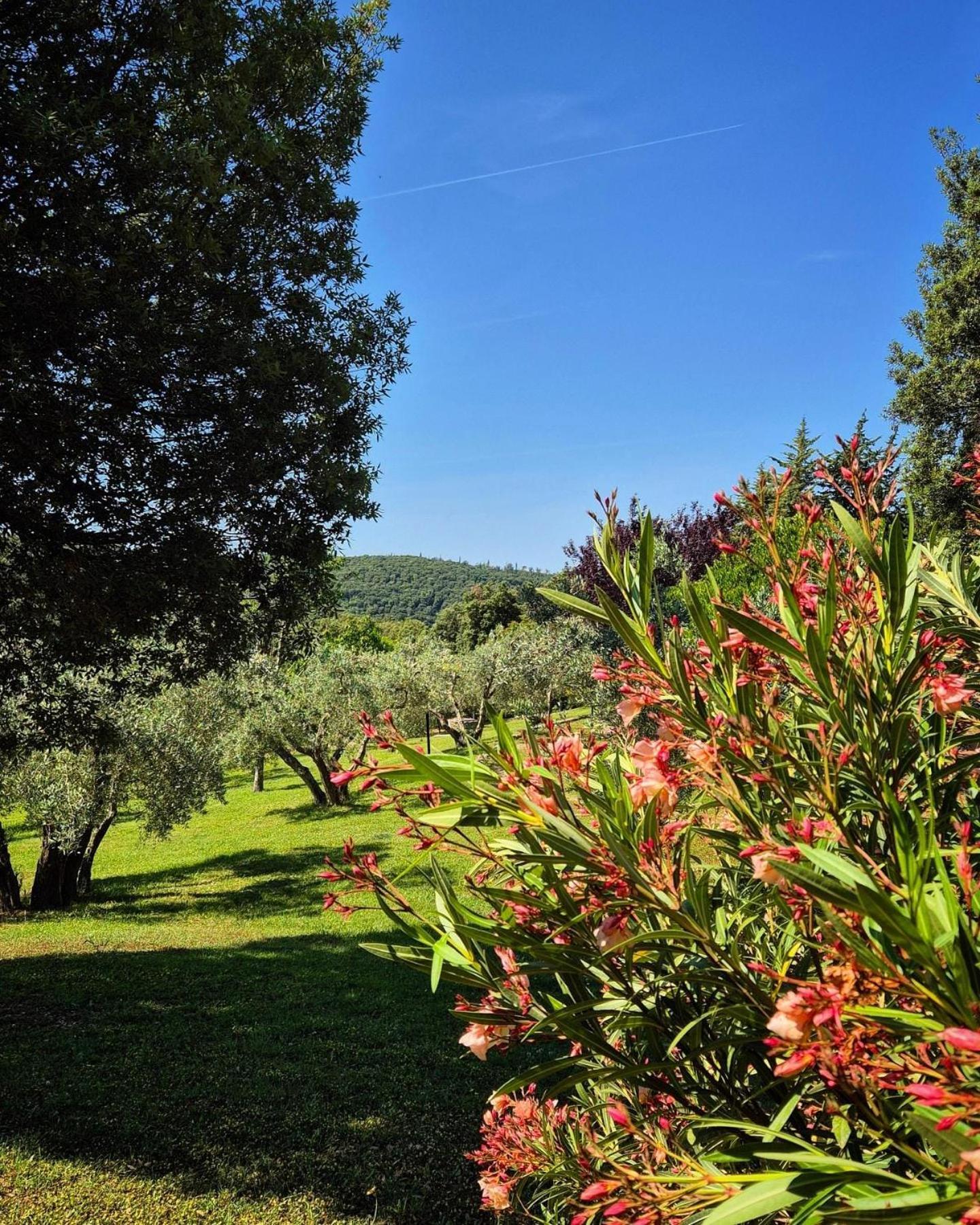 Tenuta Aronne Масса-Мариттима Экстерьер фото